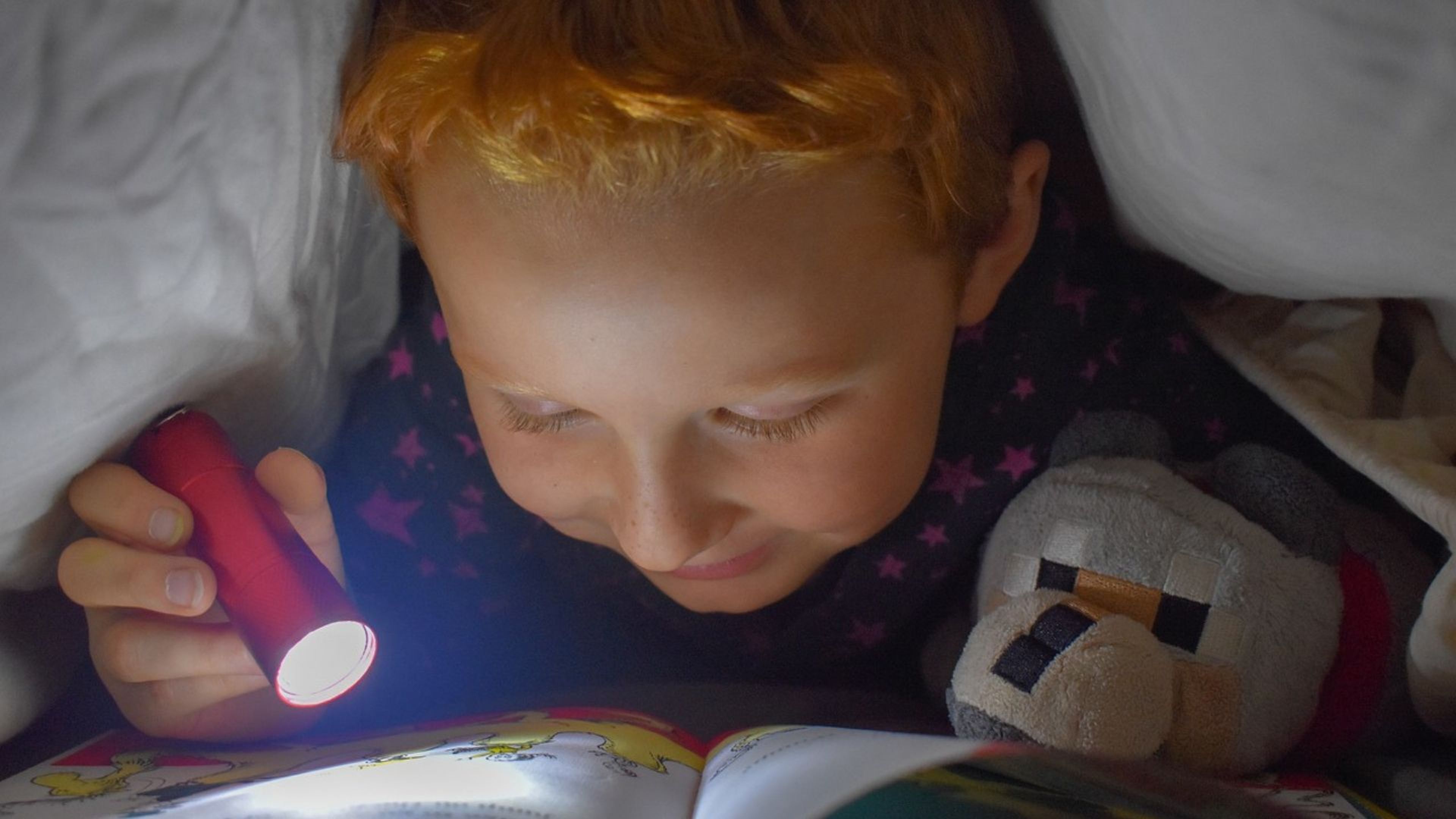 Un niño lee un cuento, iluminándose con una bombilla.