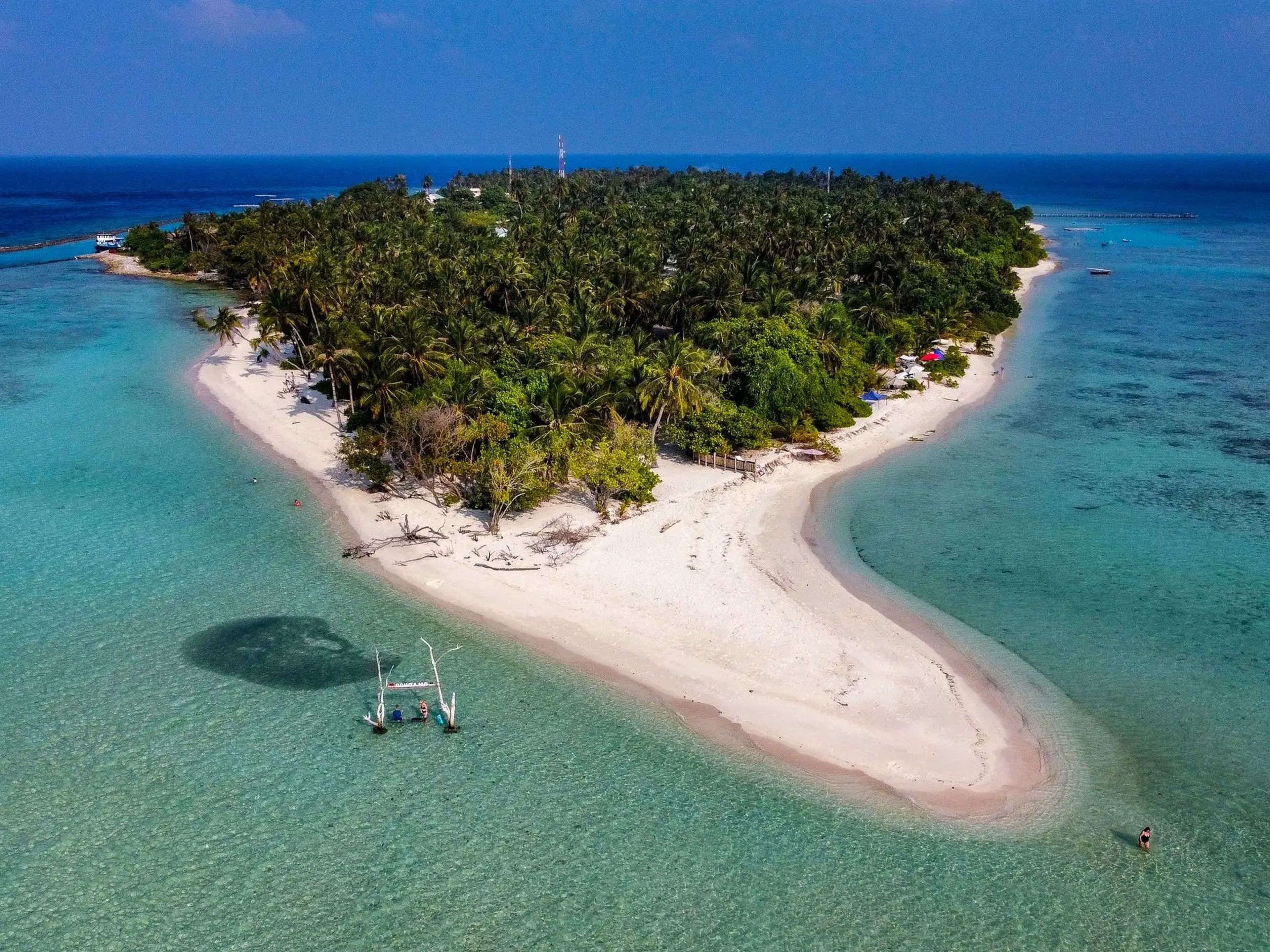 An aerial view of Omadhoo Island, which is covered in lush green trees and surrounded by aqua-blue water.