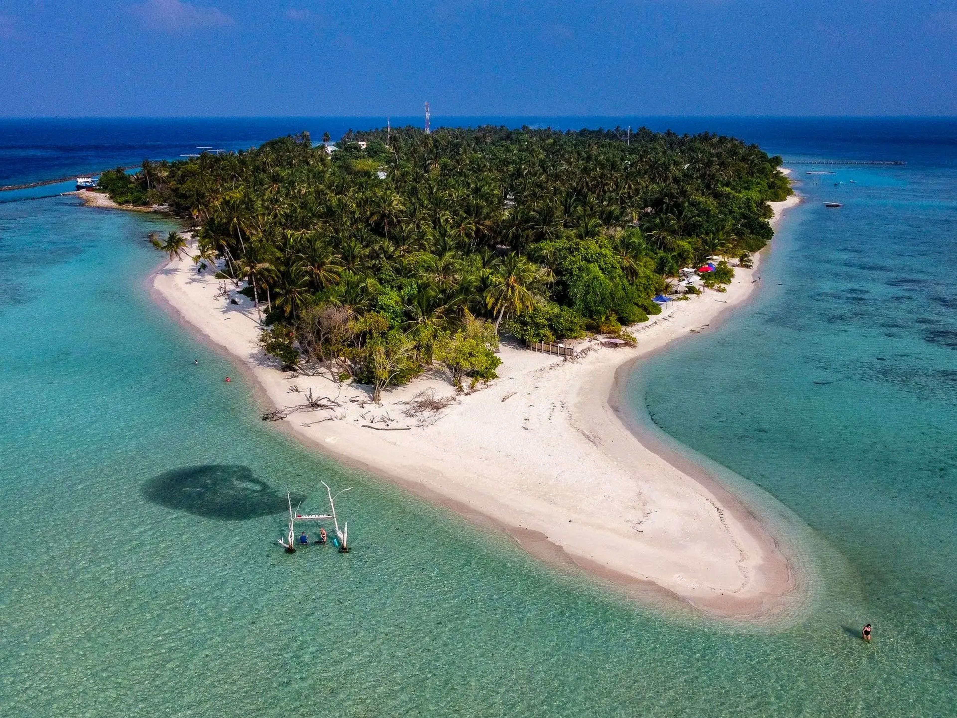 An aerial view of Omadhoo Island, which is covered in lush green trees and surrounded by aqua-blue water.
