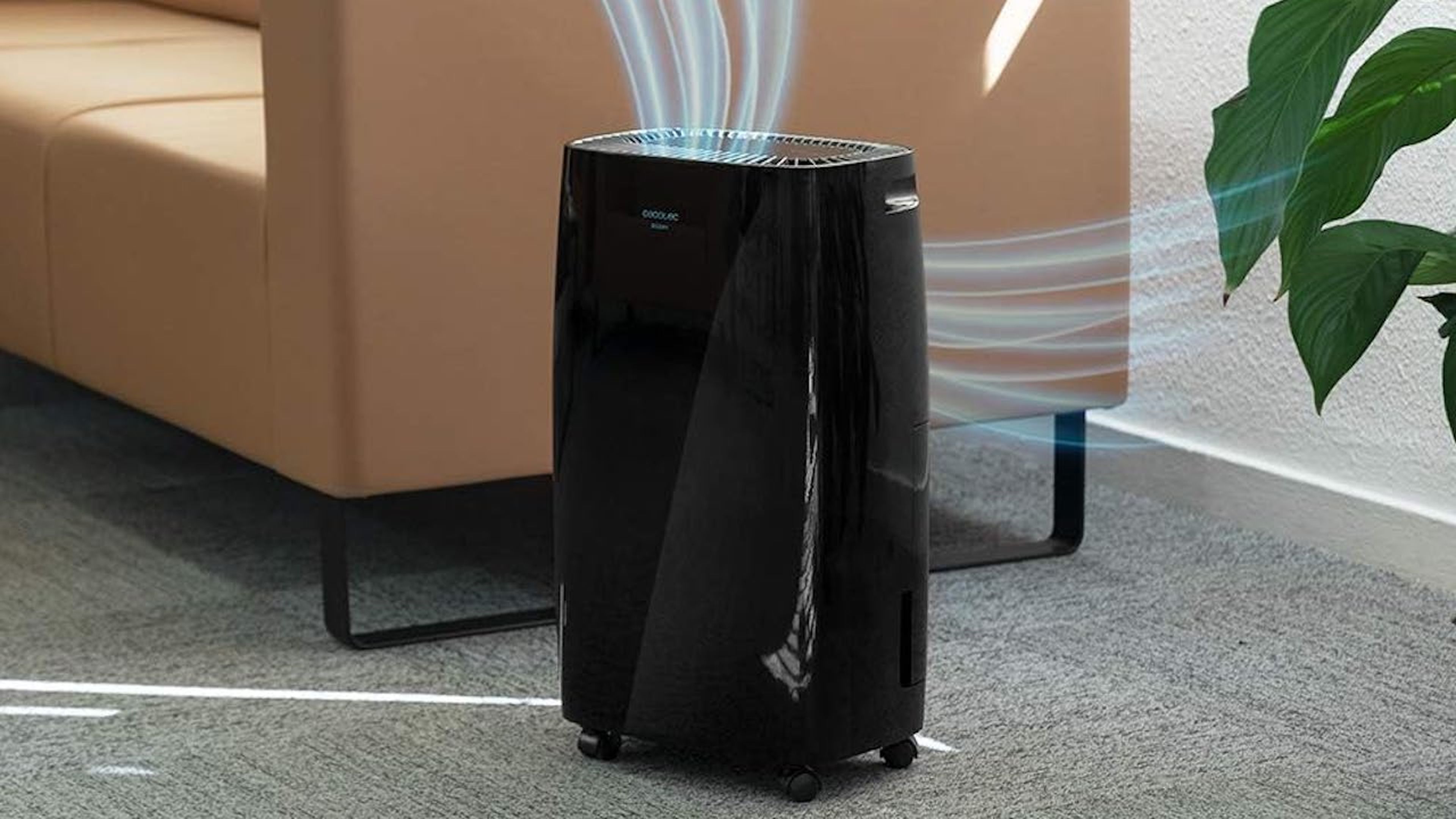 Con este dispositivo de Cecotec podrás reducir la humedad de las paredes y  respirar un aire más puro sin gastar demasiado