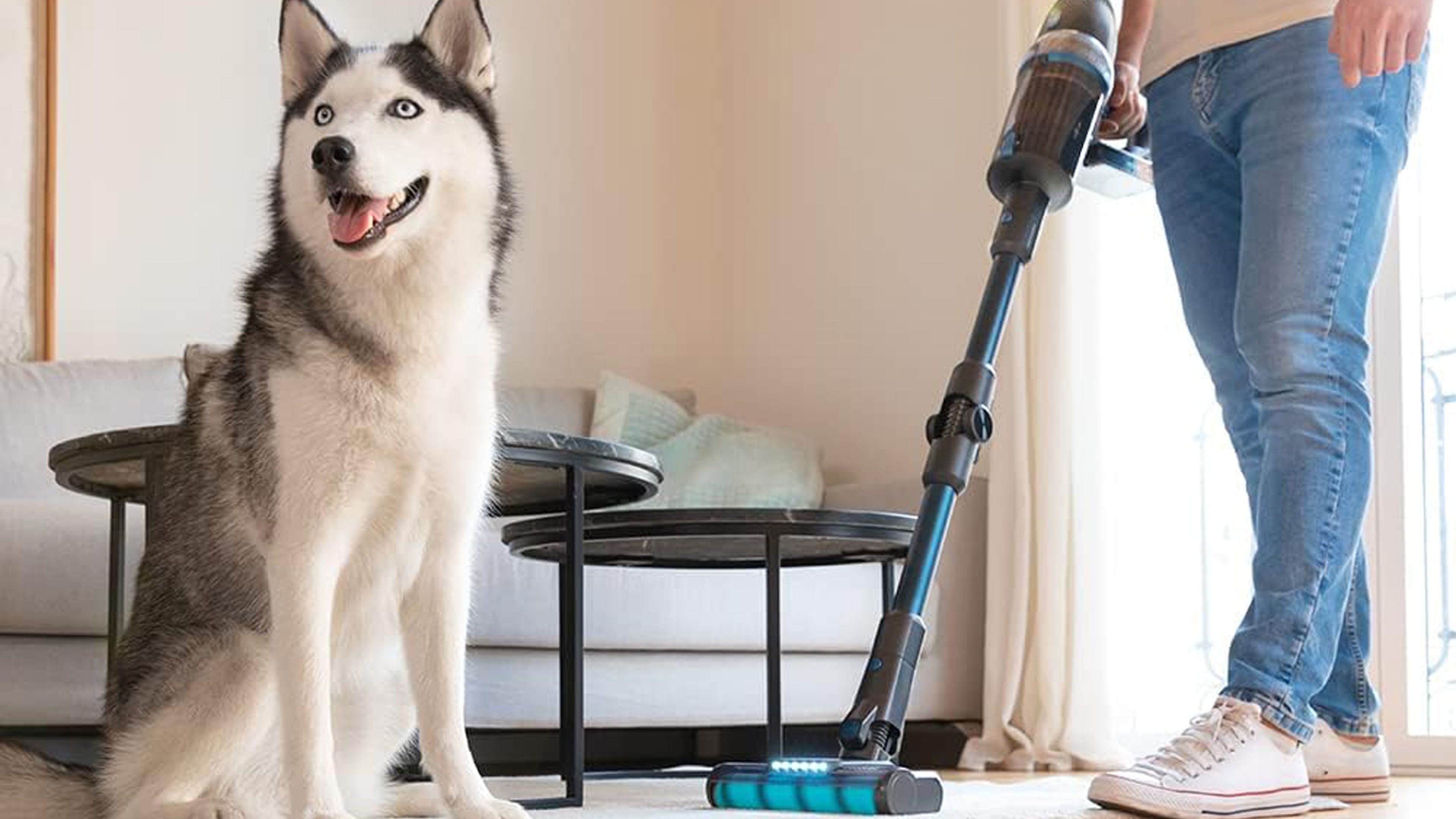Las 7 mejores aspiradoras sin cable este 2023: revoluciona la limpieza de  tu hogar