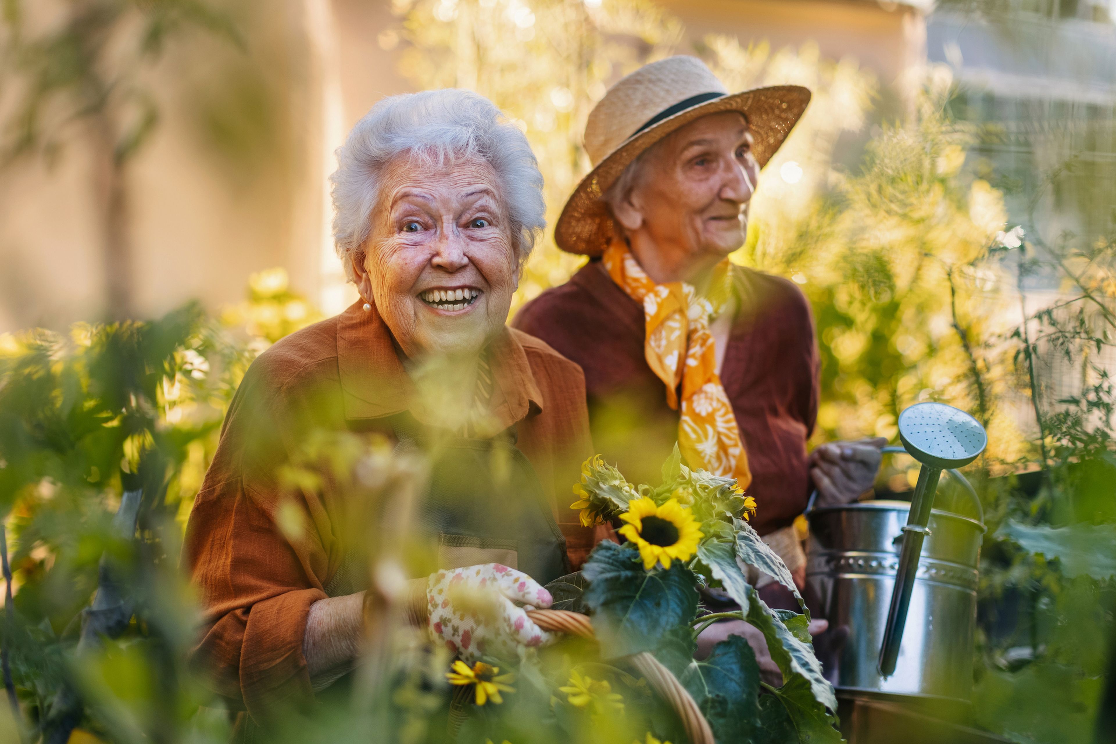 mujeres ancianas jardinería, feliz