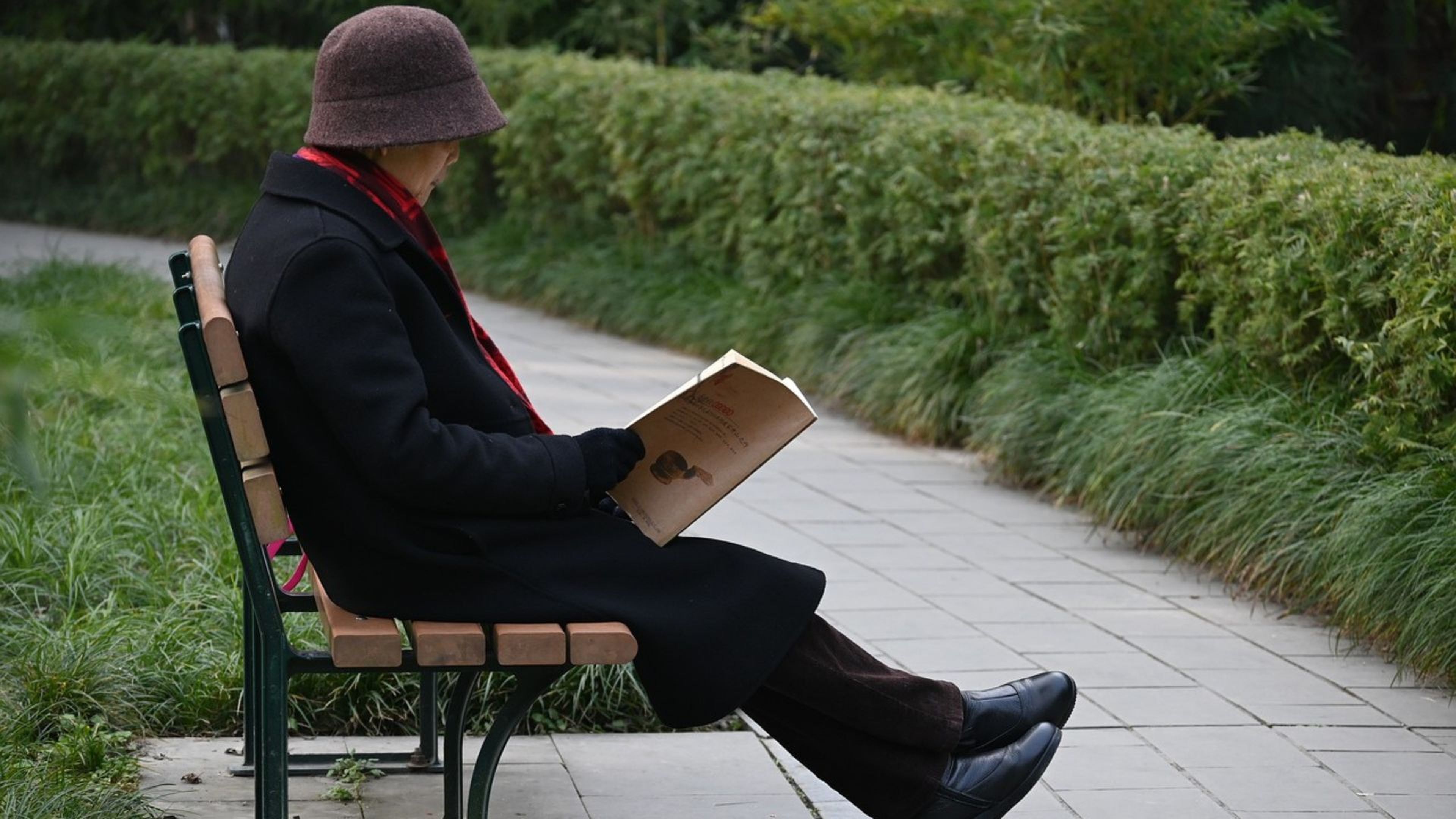 Una persona lee sentada en un banco del parque.