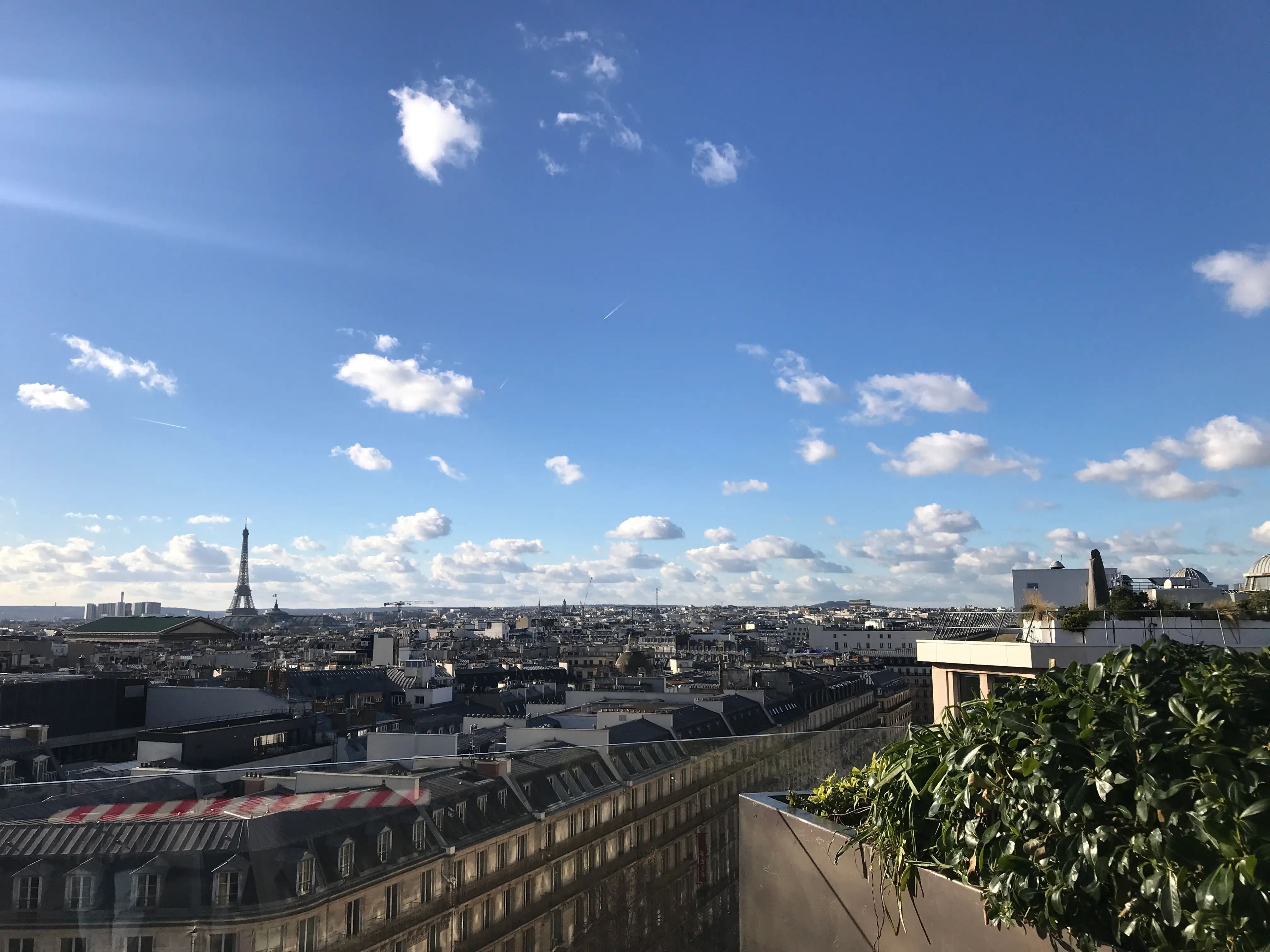 view of paris from a rooftop with the Eiffel tower and l'arc de triomphe in the distance