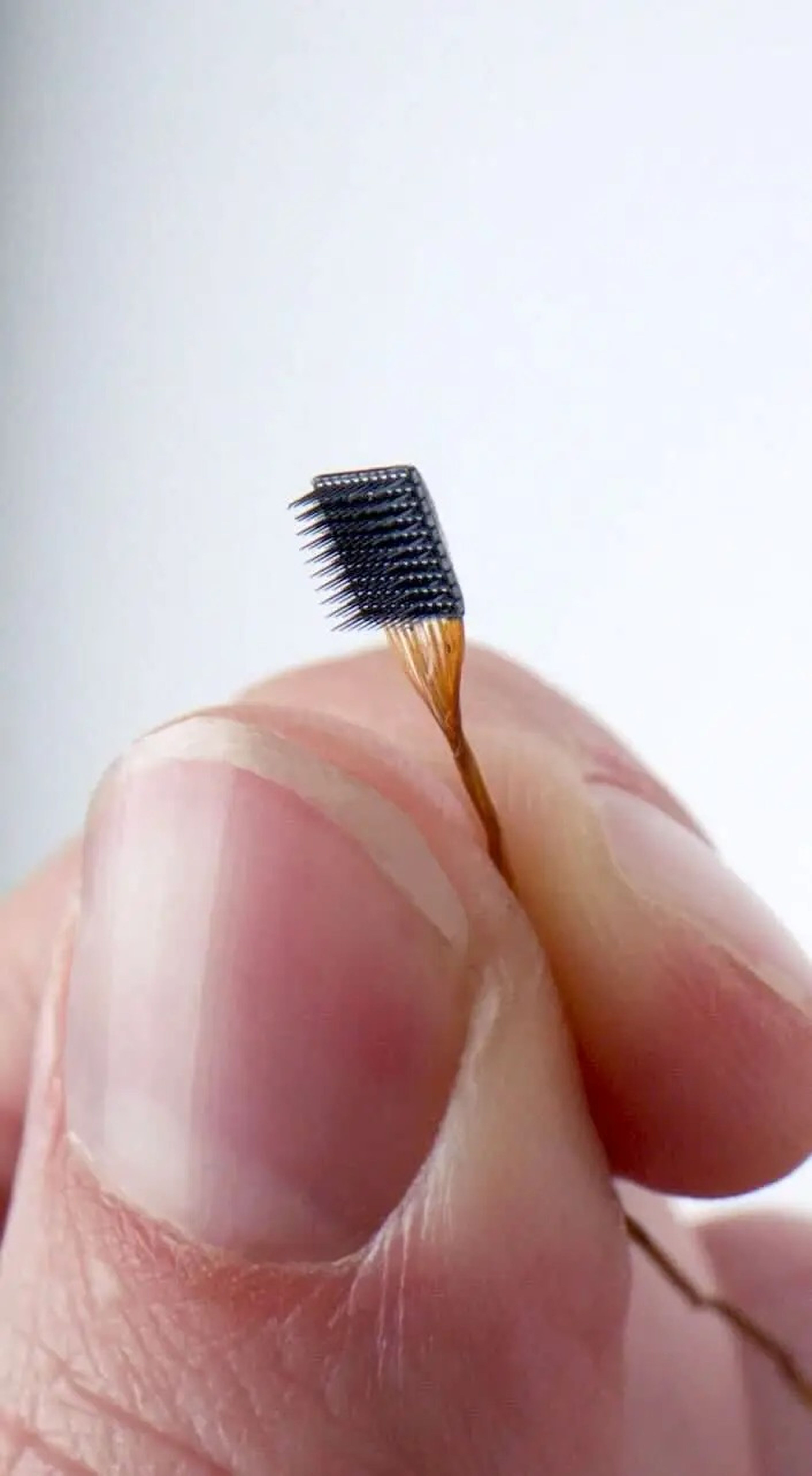 El electrodo implantable de Blackrock, llamado Utah Array, es más pequeño que la uña de un pulgar.