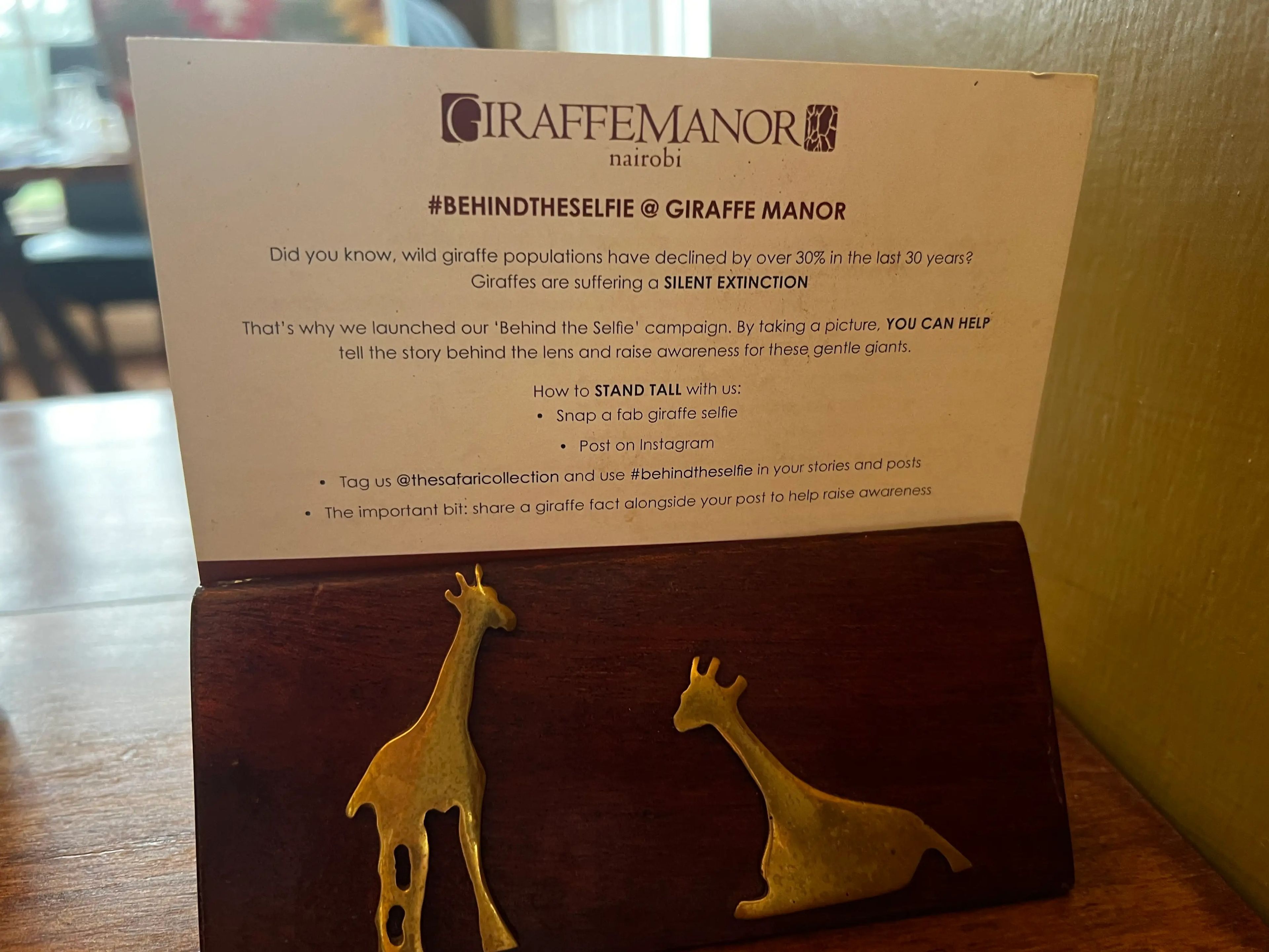 Card for the behind the selfie giraffe campaign