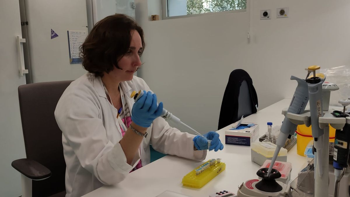 Esto es lo que debes estudiar para convertirte en investigadora del cáncer, según una experta en hematología