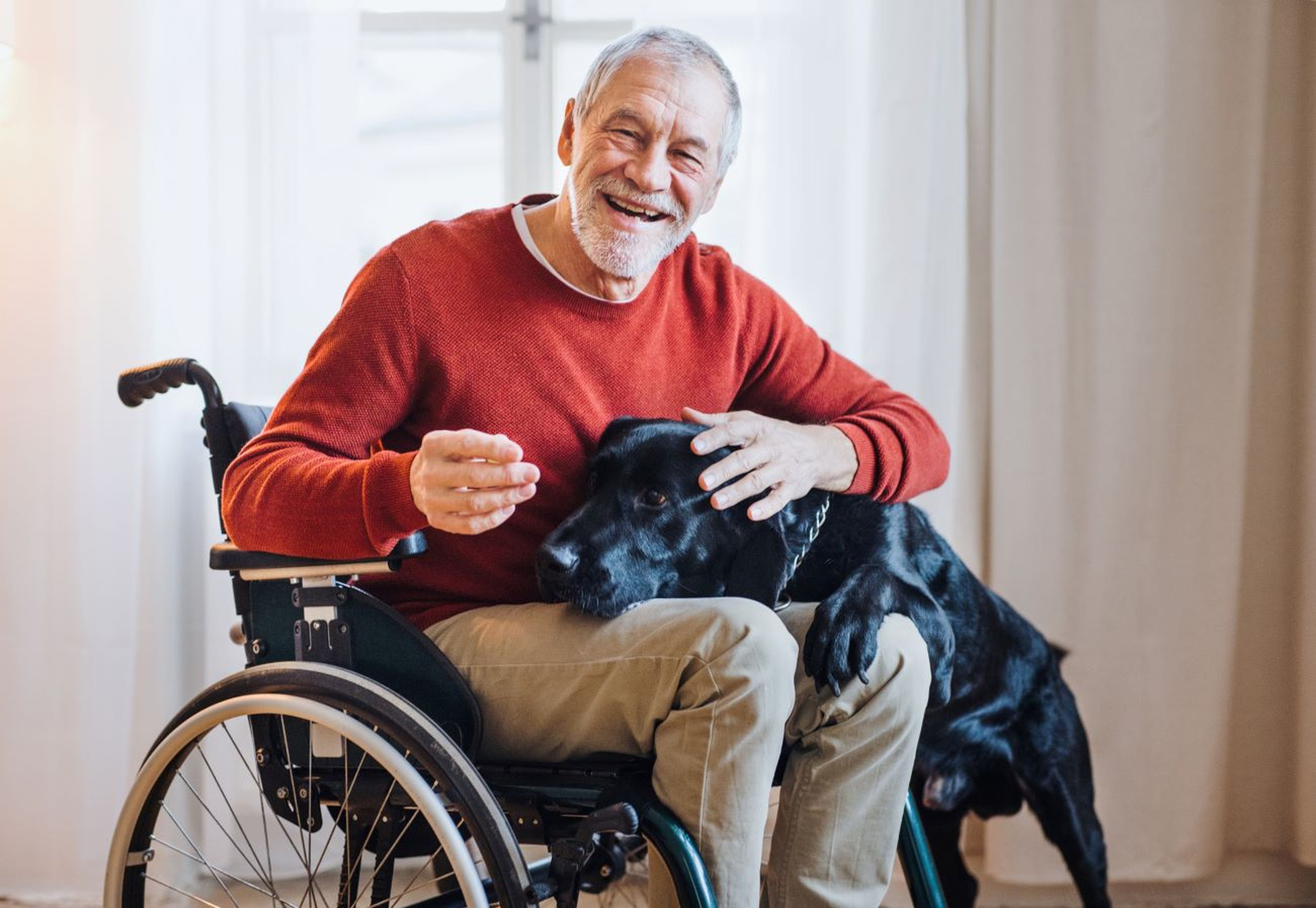 Hombre mayor con discapacidad y en sillas de ruedas abraza a un perro