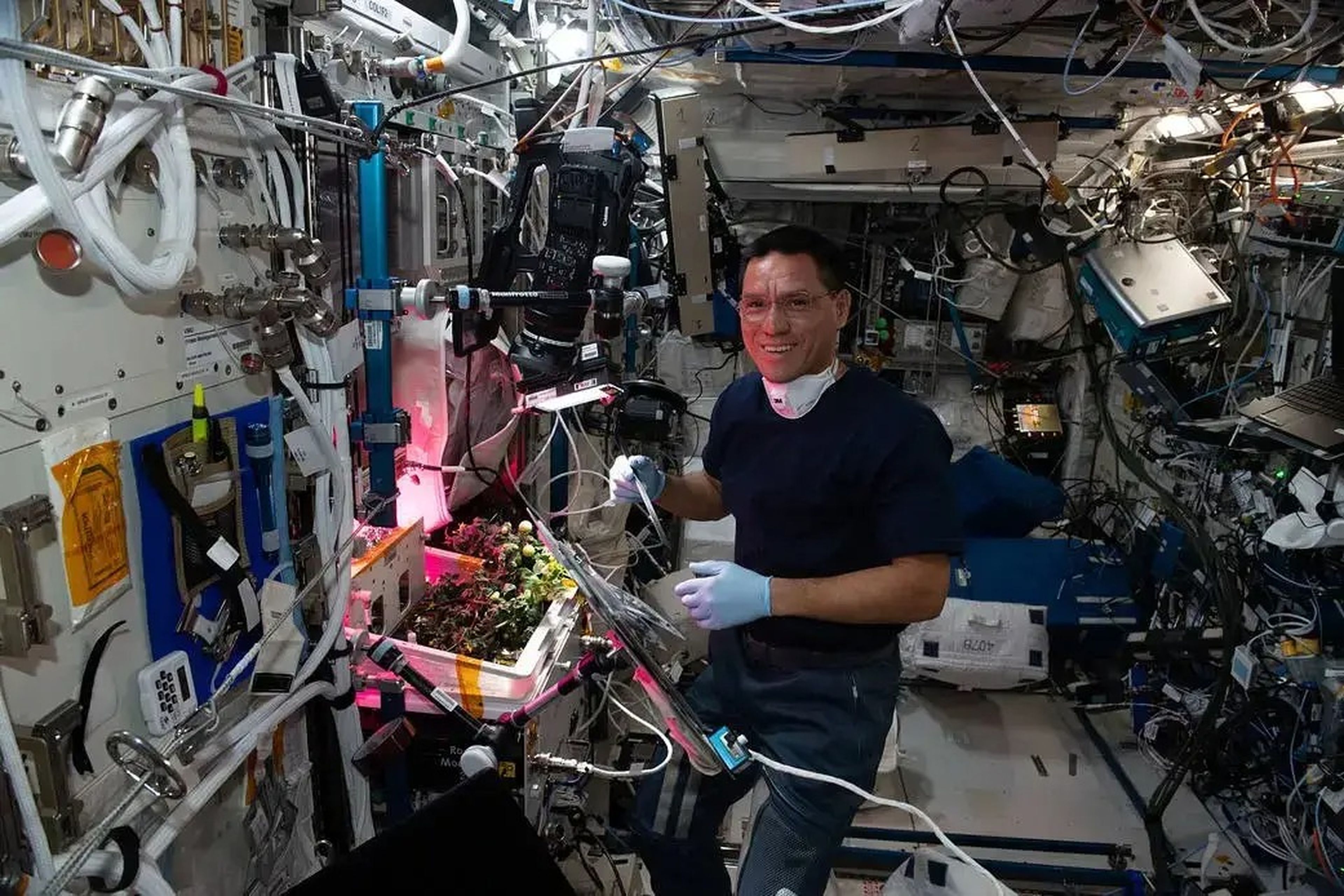 رائد الفضاء ناسا فرانك روبيو يزرع الطماطم في محطة الفضاء الدولية.
