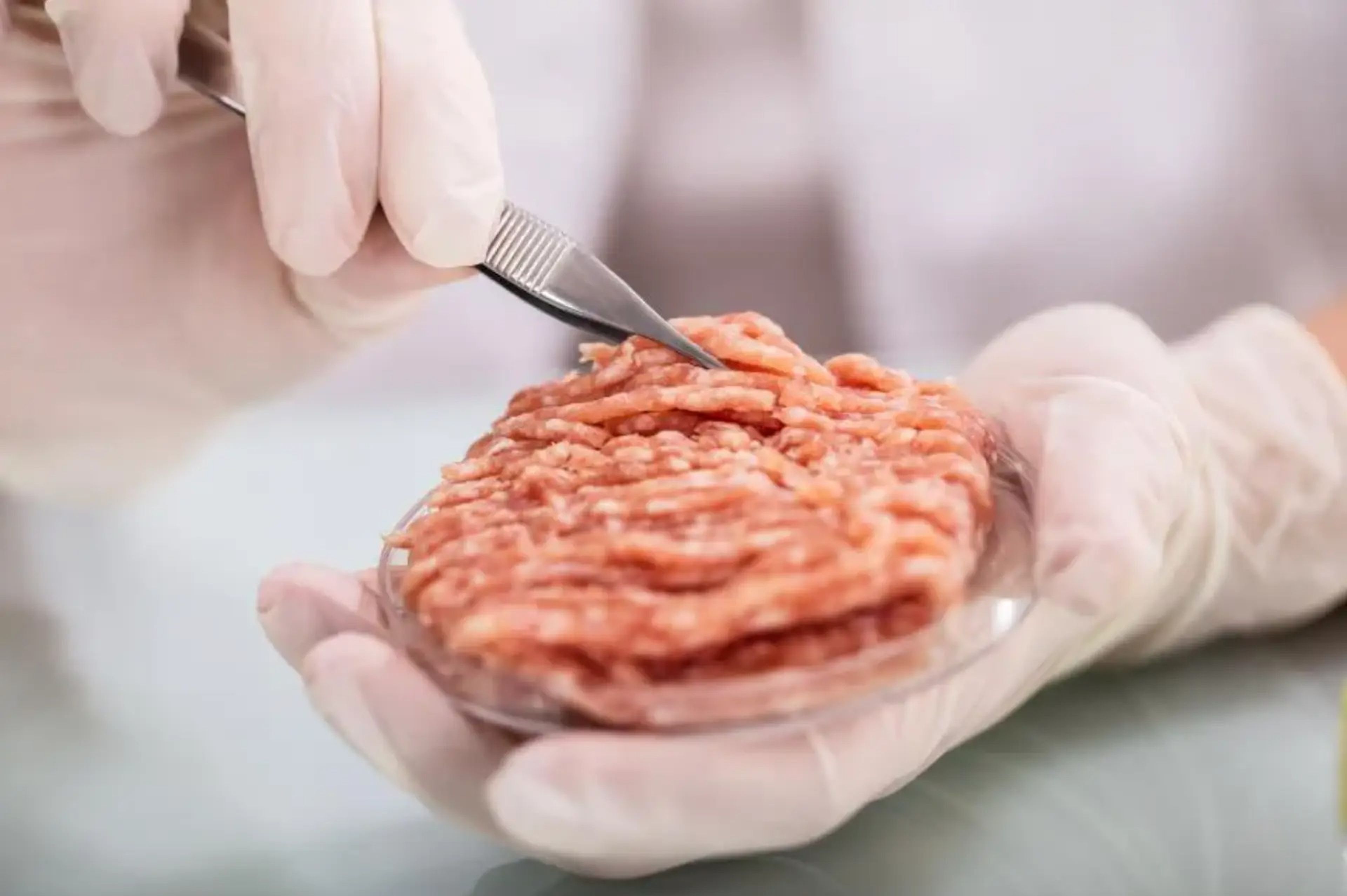 Lab-grown meat could one day be used to feed astronauts on deep space missions.