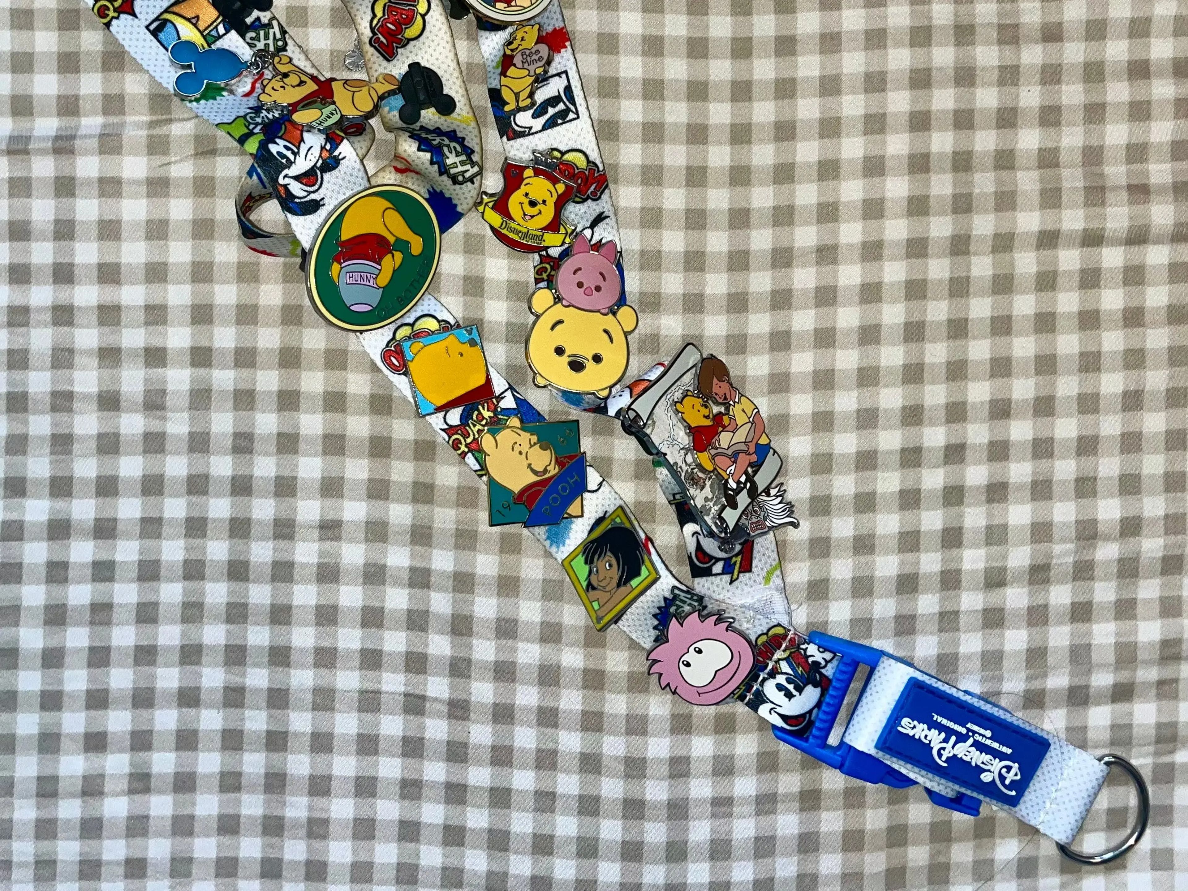lanyard with mostly winnie the pooh pins from disney world