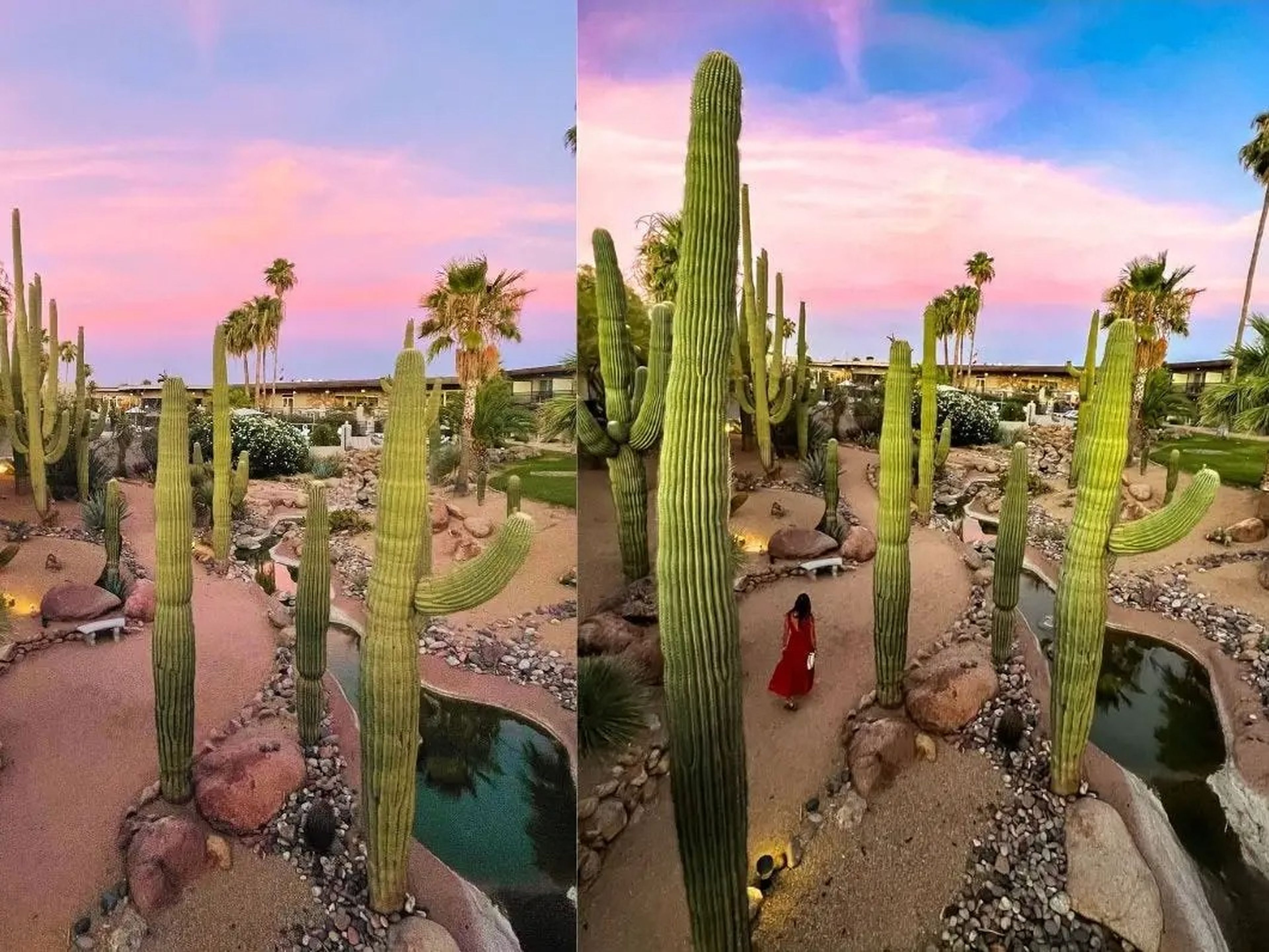 On the left, tall cacti under pink skies. On the right, Emily walking among the tall cacti under pink skies.