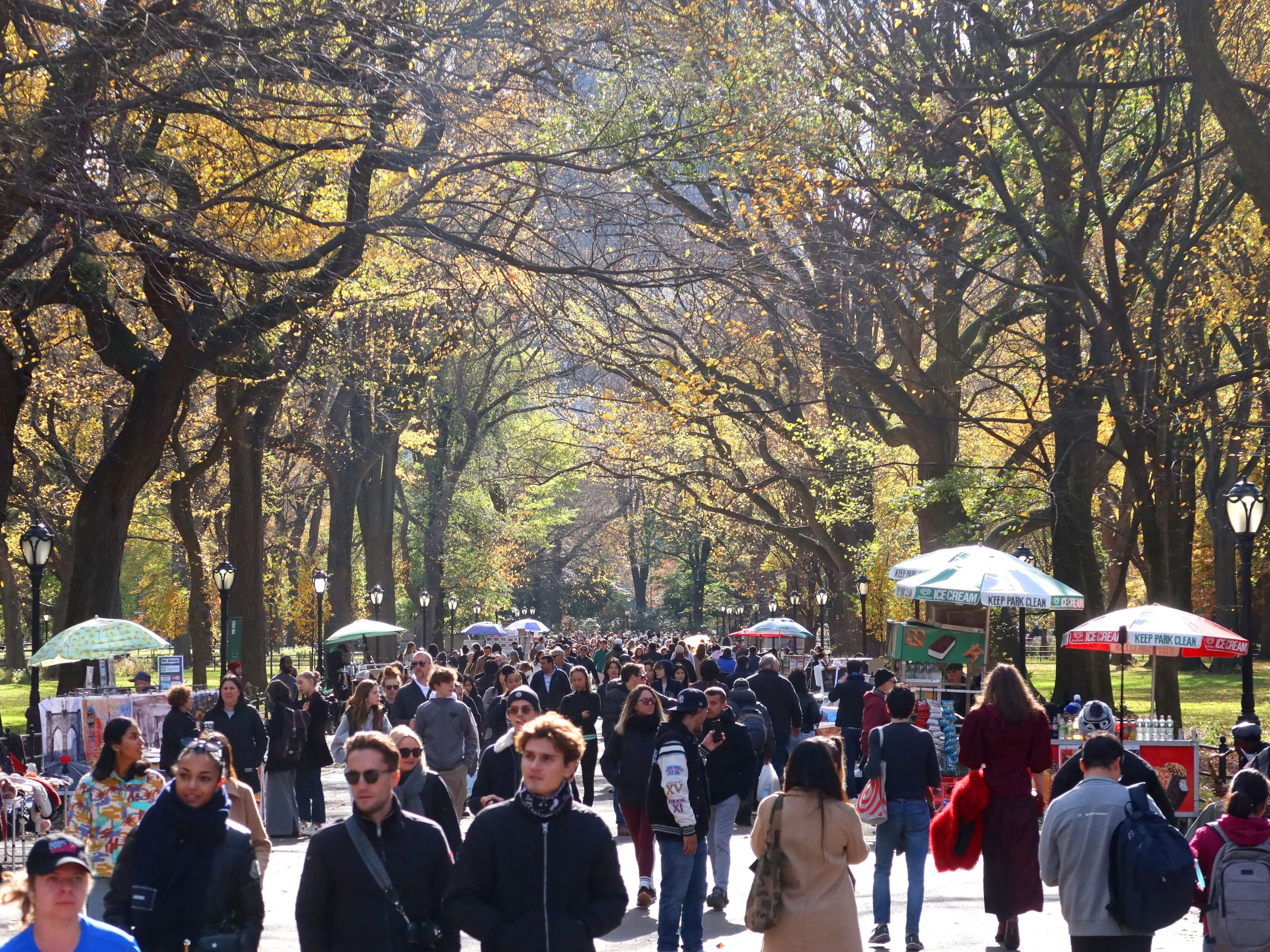 Gente caminando por Central Park.