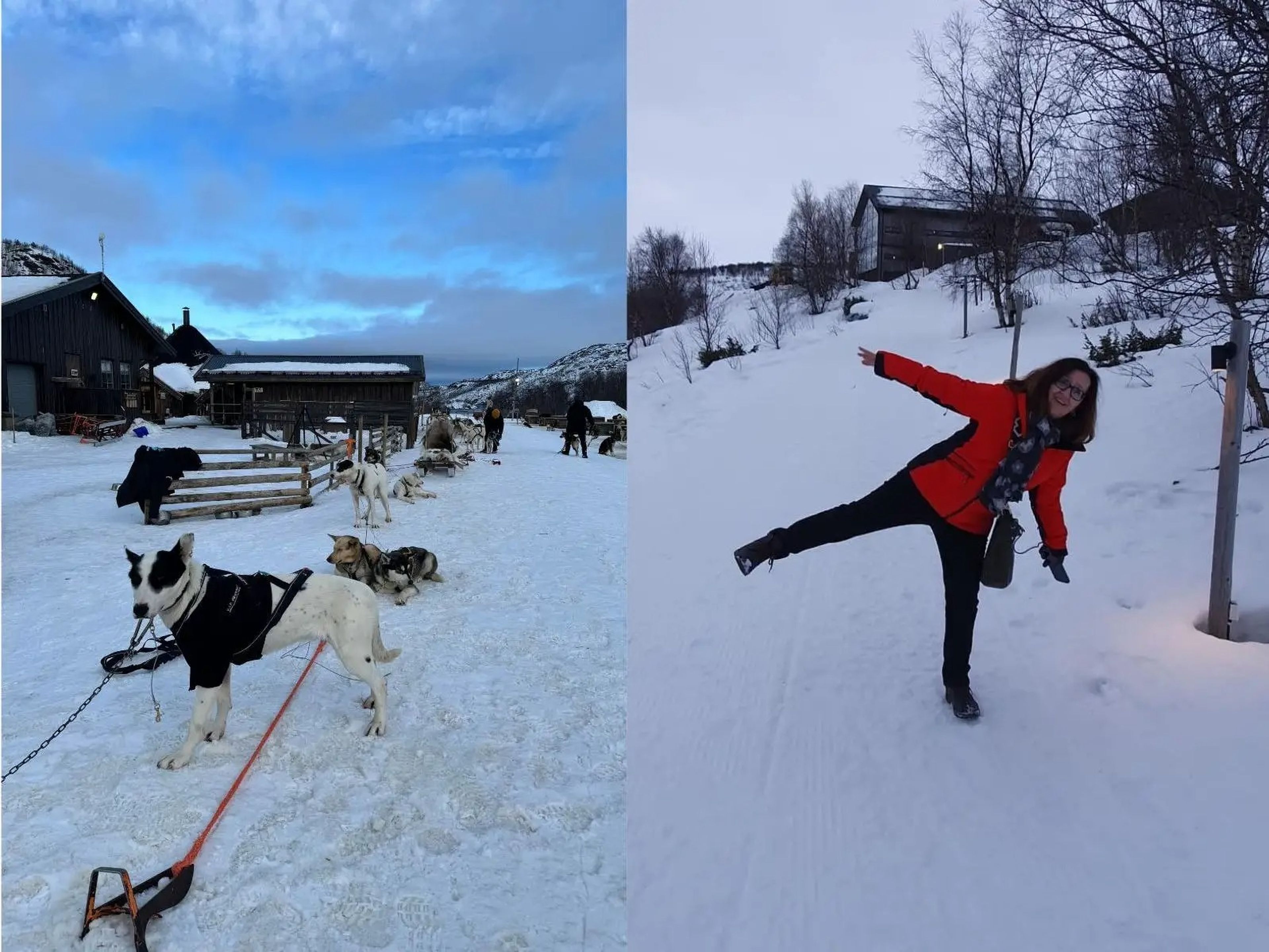 Huskies in Norway near the snow hotel and writer outside hotel