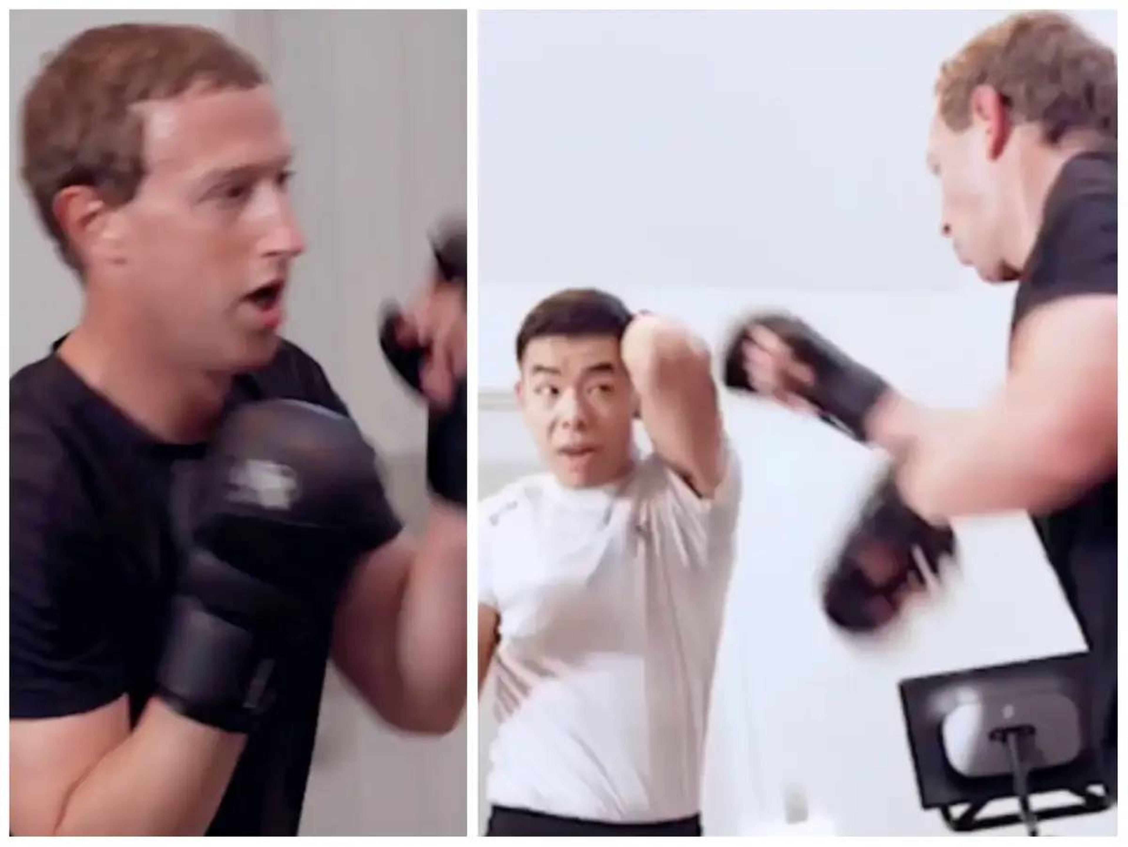 Mark Zuckerberg entrenando MMA.