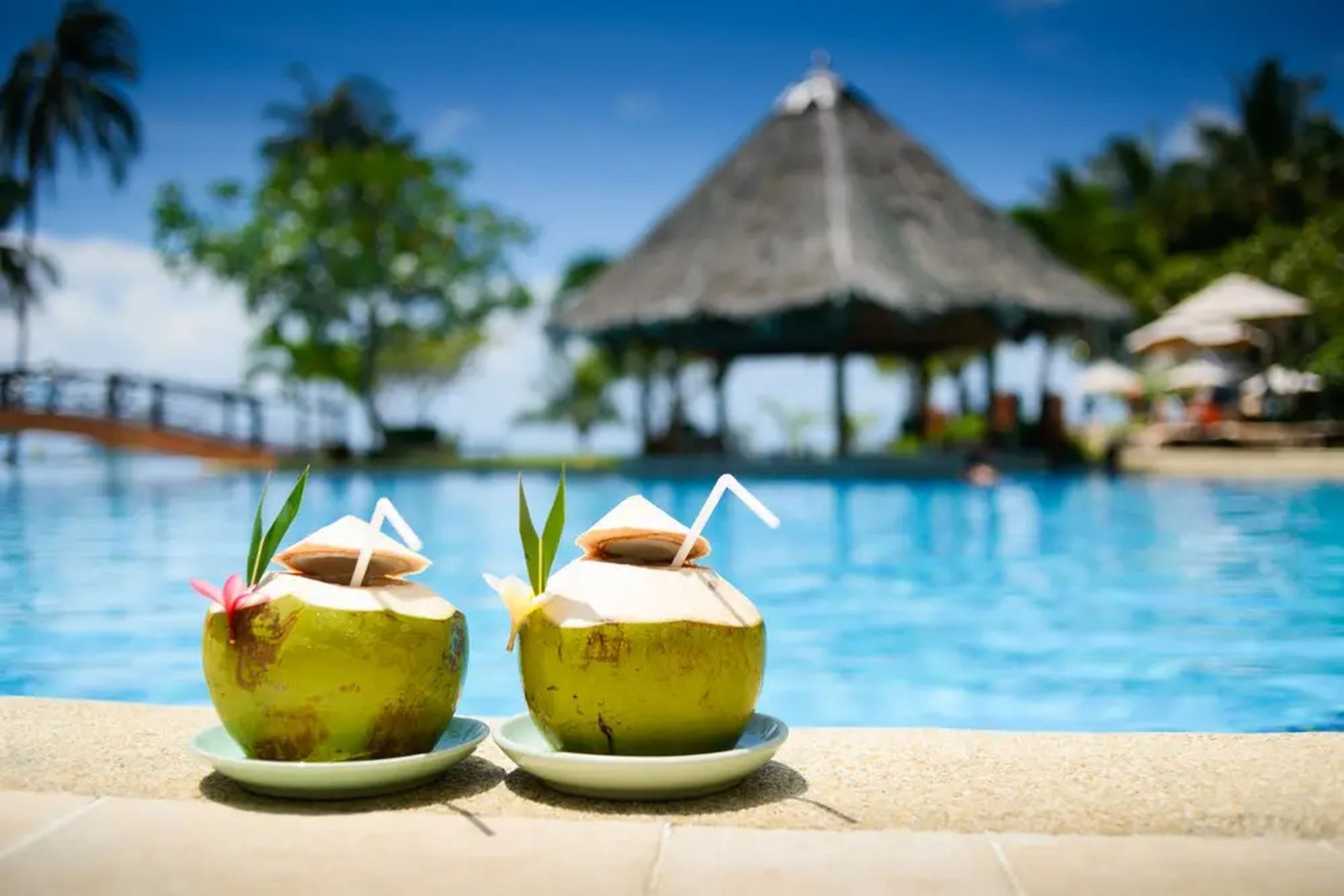 Two coconut drinks in Tahiti.