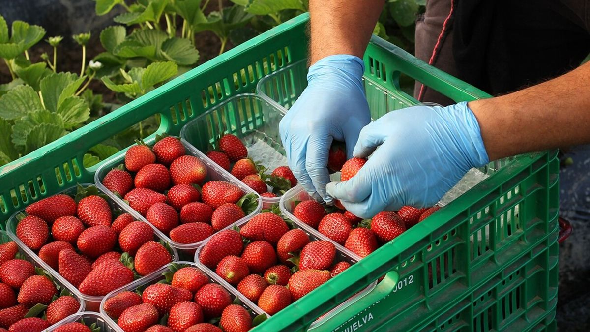 Mercadona creará 200 nuevos empleos en Portugal en 2025: estas son las oportunidades y sueldos si decides trabajar allí