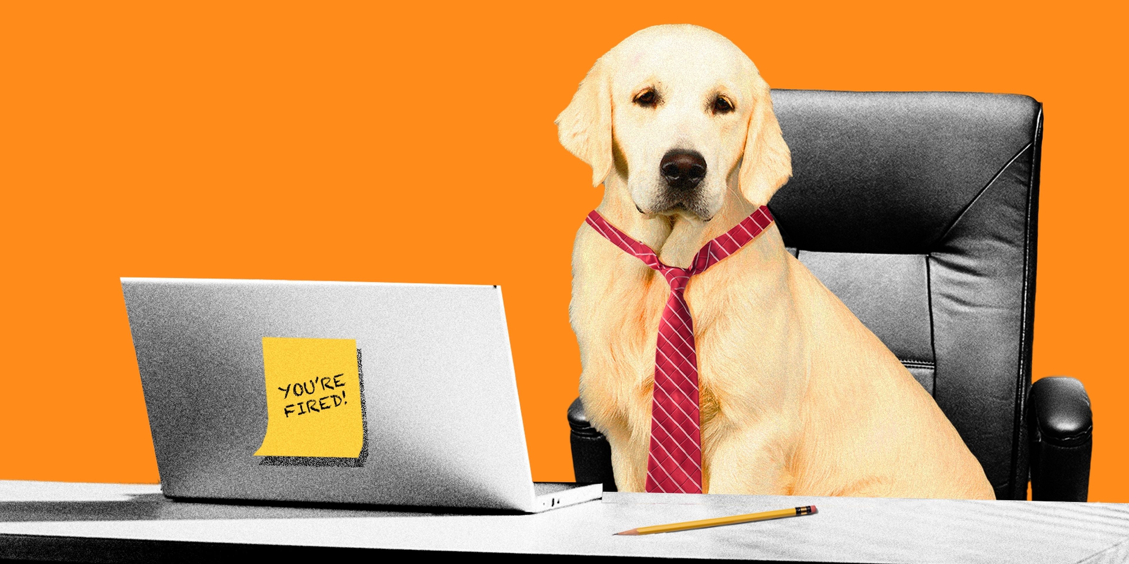 Ilustración perro jefe despedido trabajo