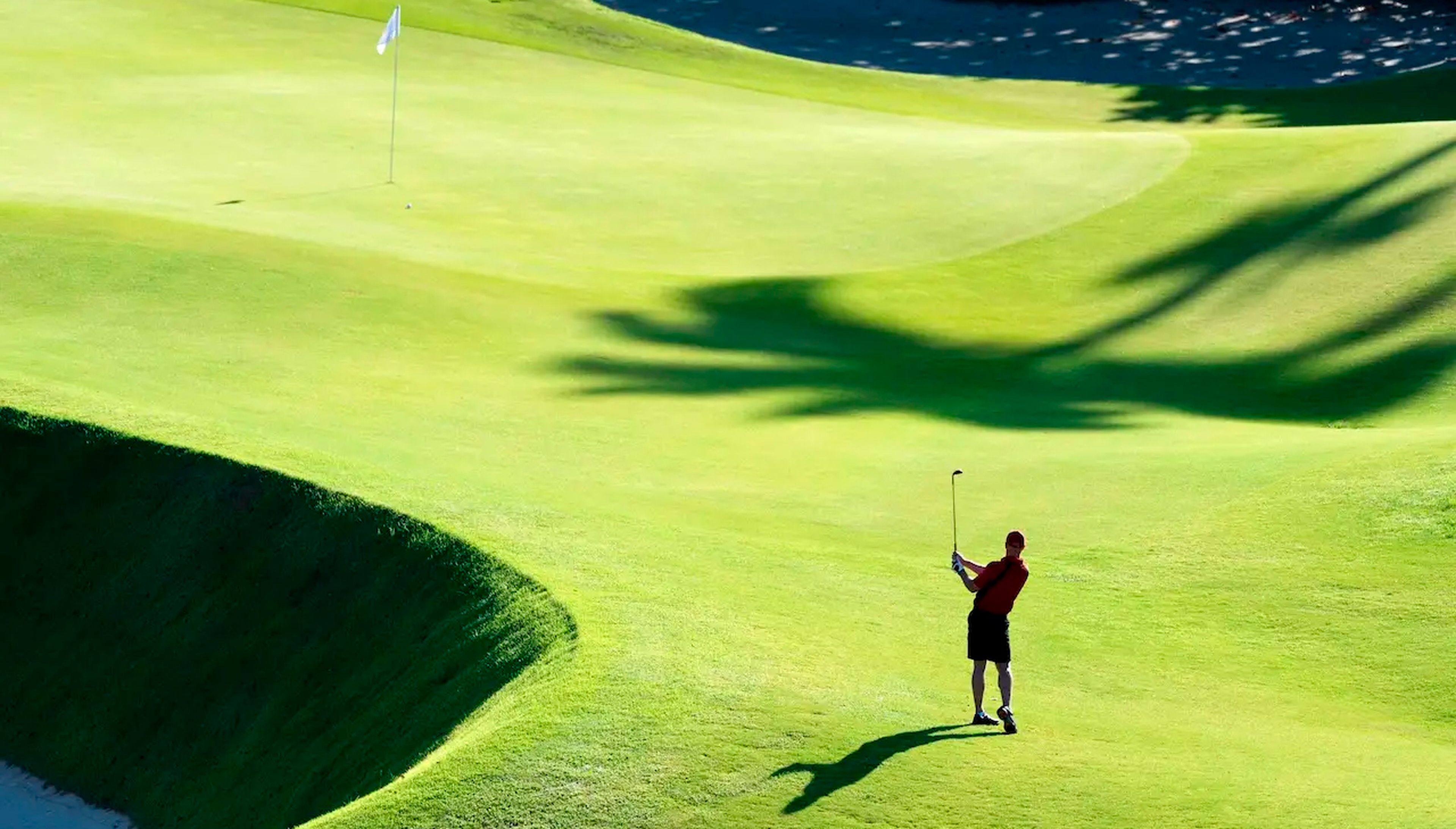 Summer cuenta que su pareja estaba obsesionada con dos cosas: el golf y el dinero.