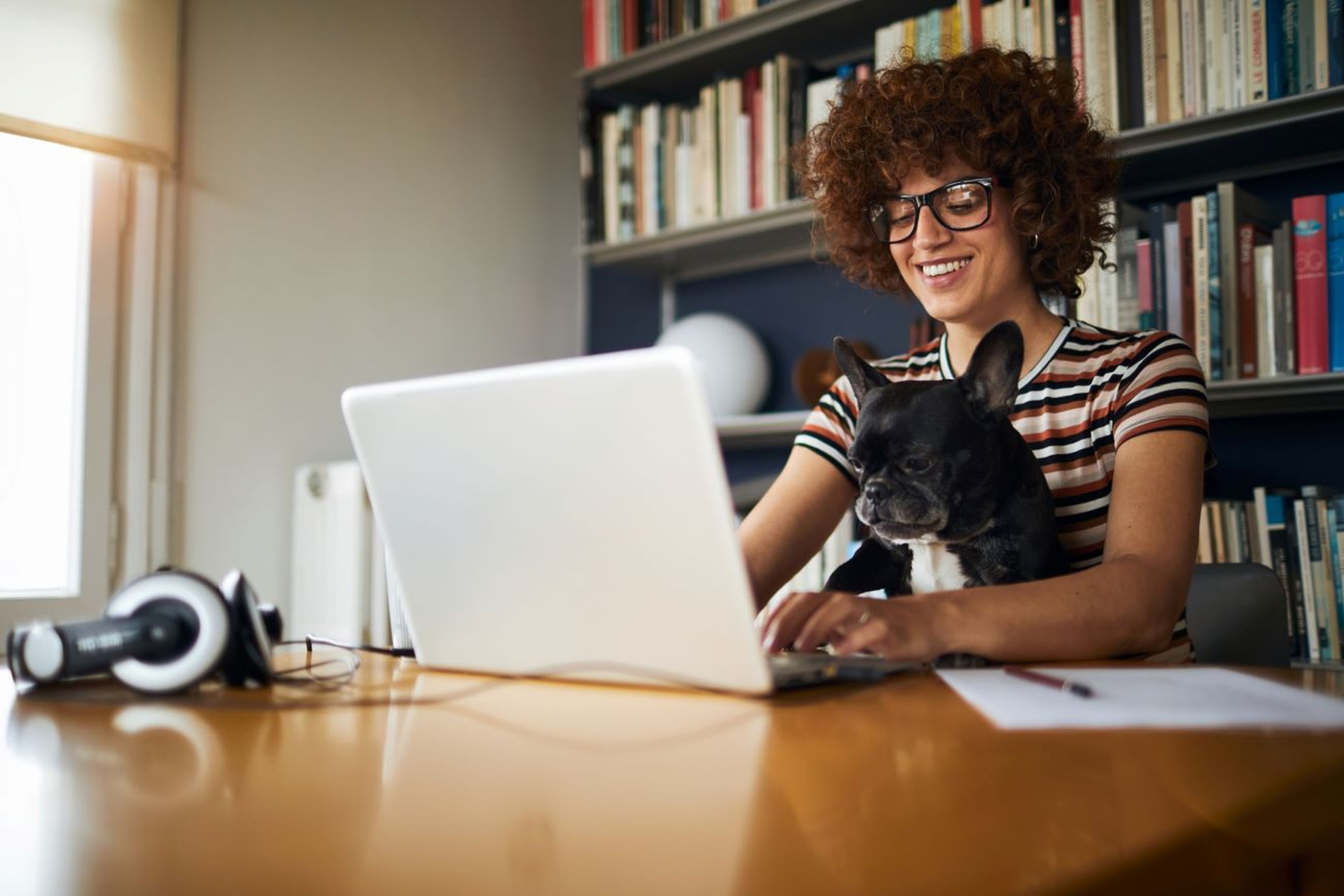 Teletrabajo, mujer joven con perro y ordenador