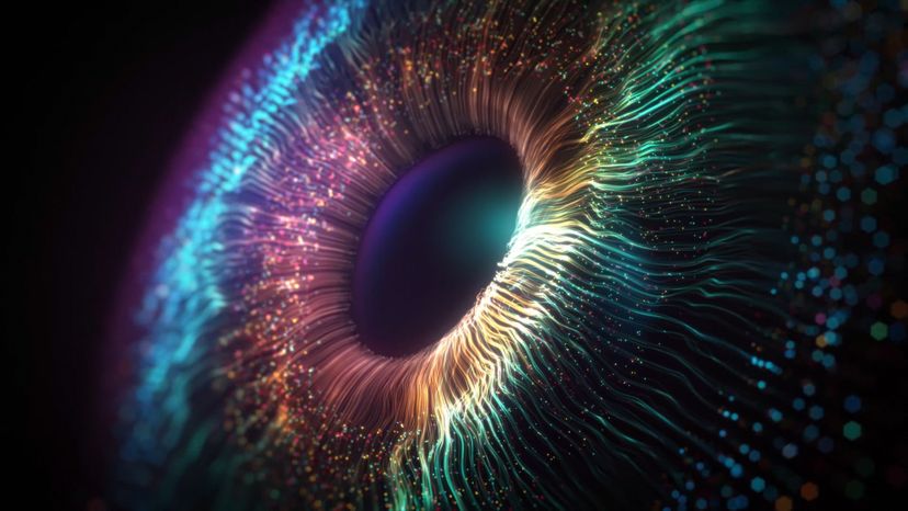 Ojo
