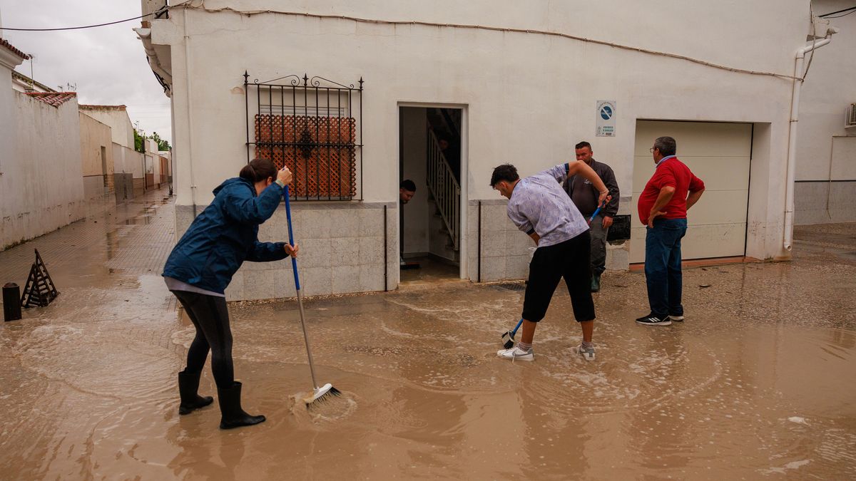 Lo que debes tener en cuenta antes de comprar o alquilar vivienda en la Comunidad Valenciana, según un experto