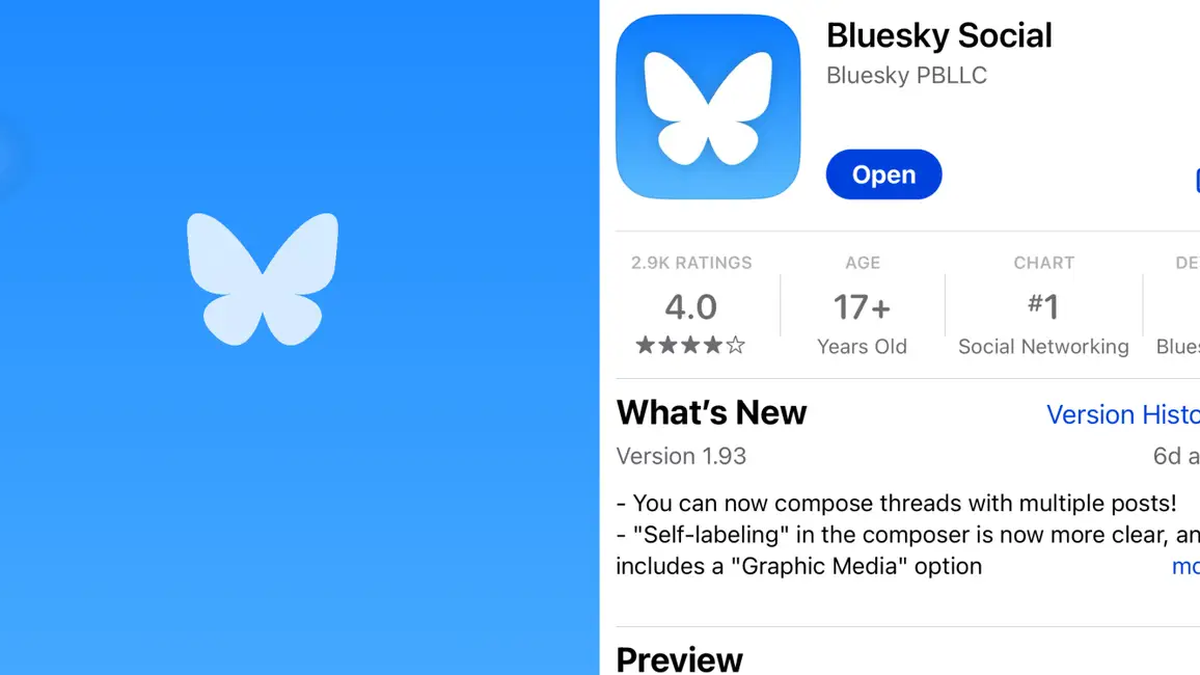 Bluesky, el nuevo &#39;viejo Twitter&#39;, sigue ganando usuarios: ¿explosión momentánea o éxito duradero?