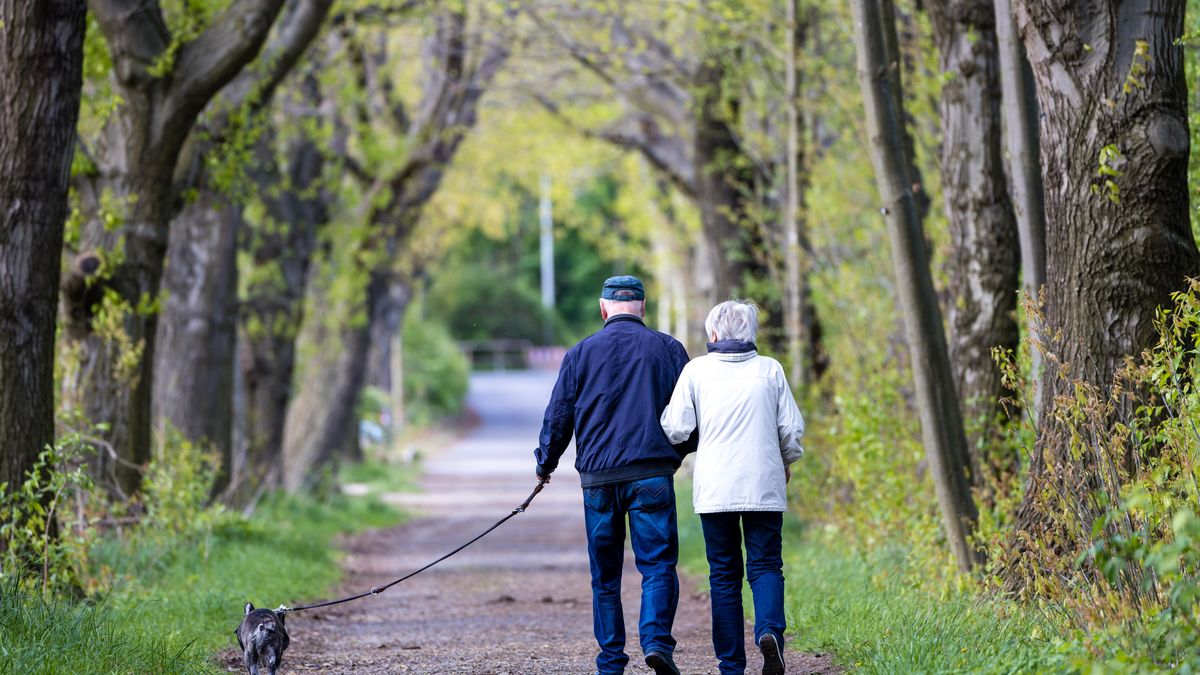 Confirmado: las pensiones subirán en 2025, pero menos de lo esperado