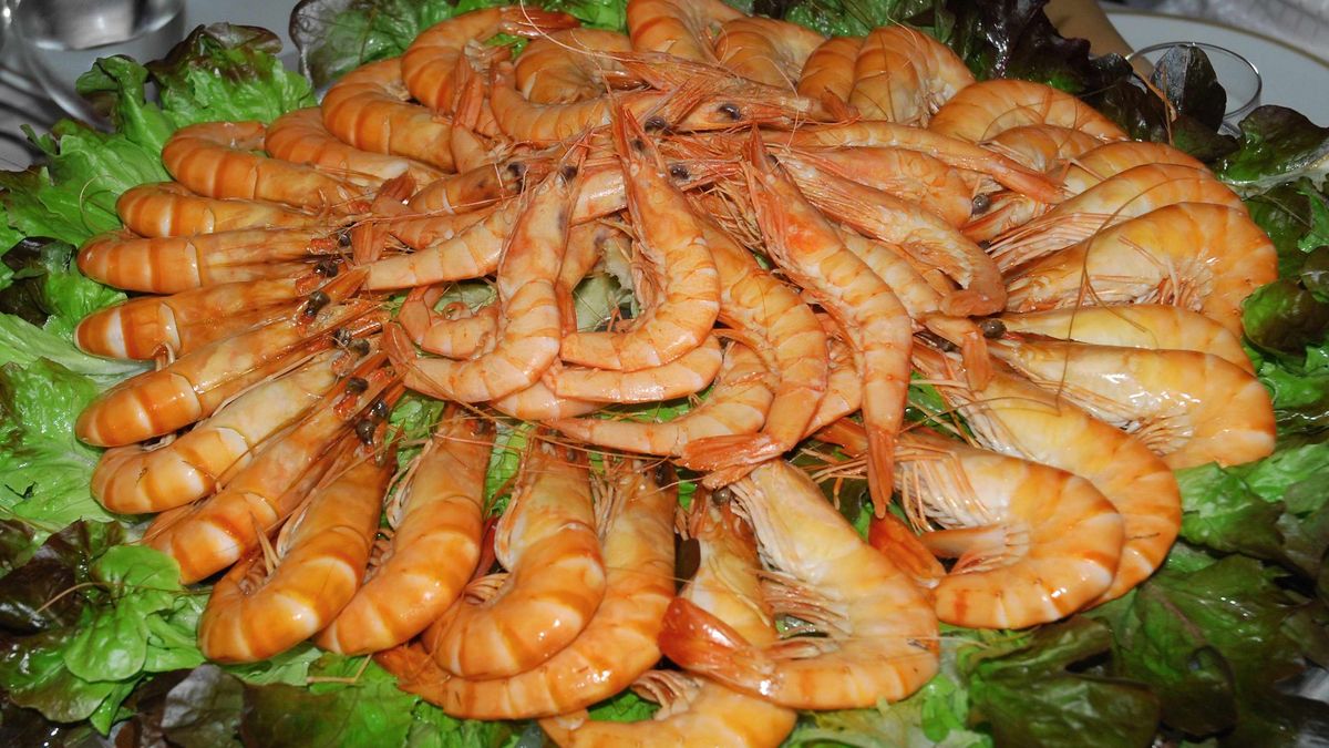 La costumbre navideña más peligrosa: qué puede pasarte al chupar las cabezas de gambas y langostinos