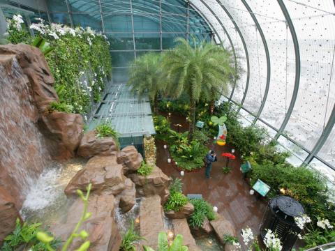 14. A butterfly garden, and...