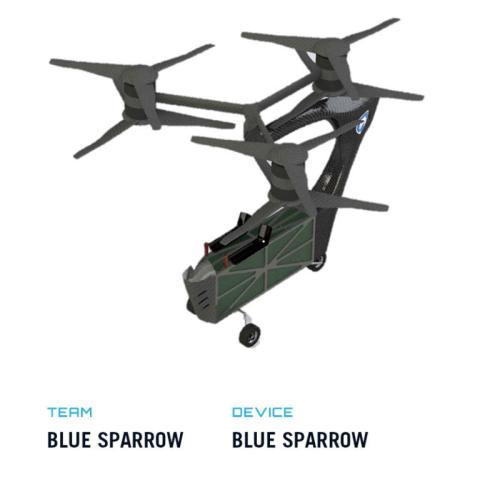 Blue Sparrow