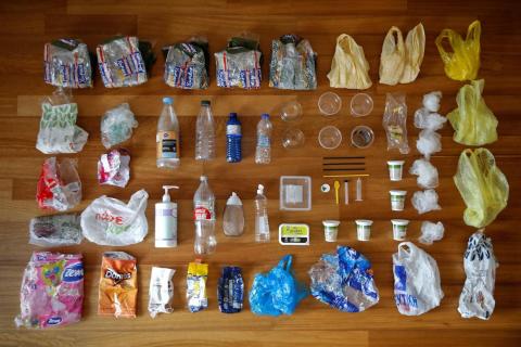 "We recycle plastic, paper, glass, et cetera, and try to buy products made from recycled materials," she said. "We try to have as many plants as possible on our balcony."