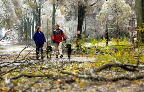 5. Entran en contacto con la naturaleza