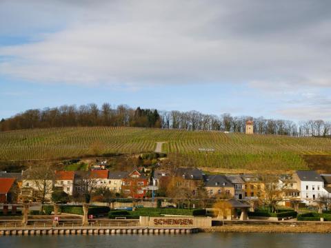14. The wealthy nation of Luxembourg has fallen a few spots from last year's sixth-place ranking. Its healthy life expectancy is currently 71 years.