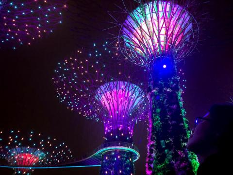 Los súper árboles artificiales de los Jardines de la Bahía de Singapur.