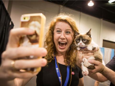 Snapchat just introduced new selfie filters meant specifically for your cat Snapchat just introduced new selfie filters meant specifically for your cat