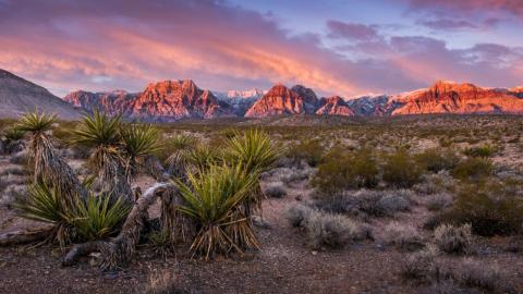A cryptocurrency millionaire is buying up land in Nevada’s desert to build a utopian village run on Ethereum — here are the design plans A cryptocurrency millionaire is buying up land in Nevada’s desert to build a utopian village run on Ethereum — here are the design plans