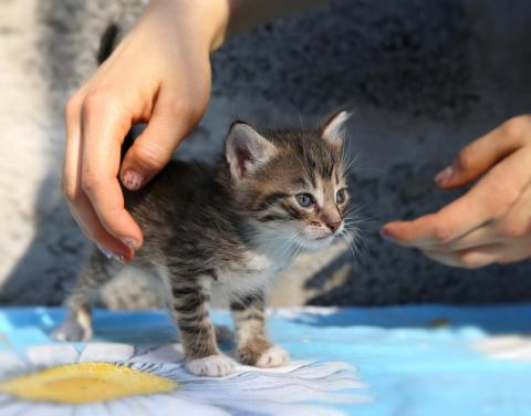 Altruism can be good for your heart.
