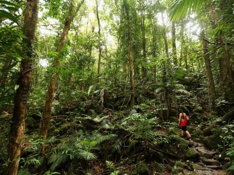 The Cairns region in Australia.