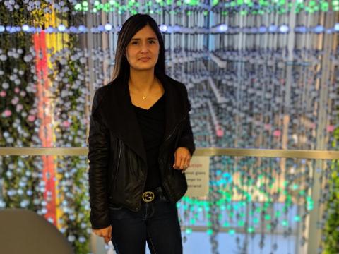 Rincon at Google's Mountain View campus.