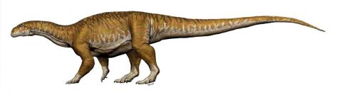 Así es cómo podría haber sido el dinosaurio Ingentia Prima