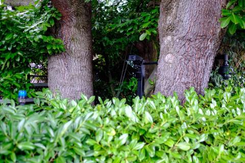 Cameras, motion sensors, and other forms of surveillance are outside every house on the waterfront side. Cameras, motion sensors, and other forms of surveillance are outside every house on the waterfront side.