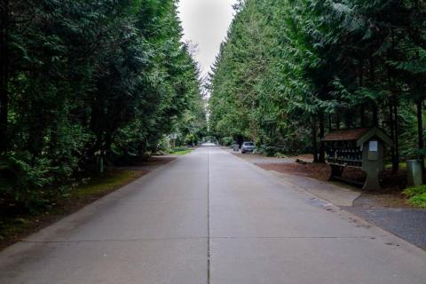 The entire town is a single evergreen-lined road called Hunts Point Road. The entire town is a single evergreen-lined road called Hunts Point Road.