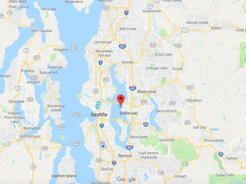 Medina is located on a peninsula just across Lake Washington from <strong><a href=
