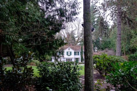 Next door to Ballmer is this estate, owned by the Seattle telecom billionaire Craig McCaw, who founded McCaw Cellular (which was purchased by AT&T). McCaw purchased the house from the saxophonist Kenny G.