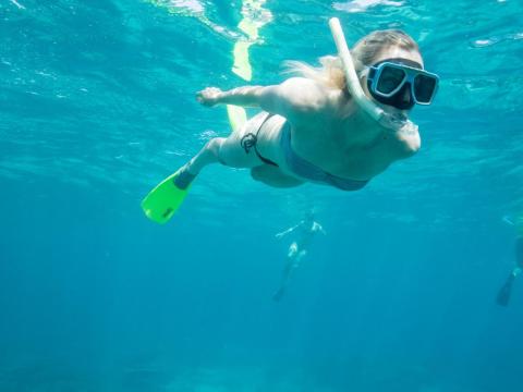 El snorkeling es una excursión en tierra popular, pero costosa, que ofrecen muchas líneas de cruceros.
