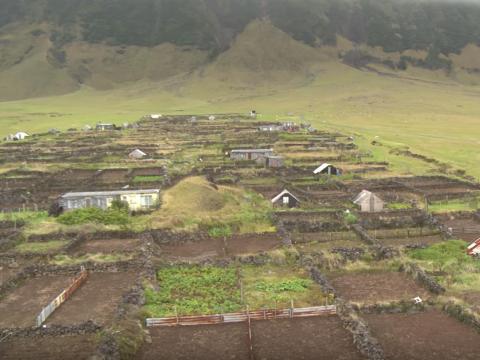 Edinburgh of the Seven Seas is a rural settlement, which sustains itself by growing mainly potatoes on patches of land about a mile away from the town.