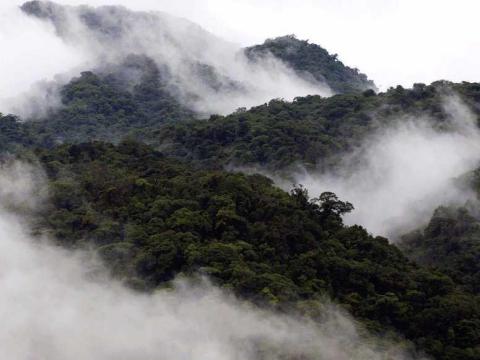 Uma névoa parecida com uma nuvem dá o nome à Floresta Nublada de Monteverde.