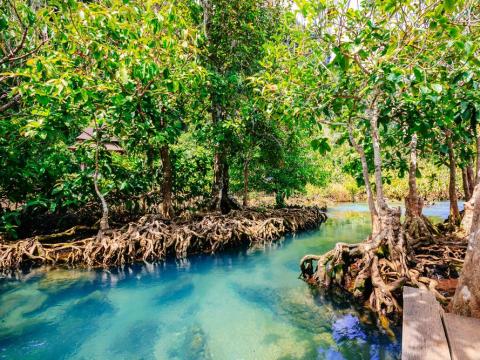 A água azul brilhante em Tha Pom é da água do mar misturada com água doce.