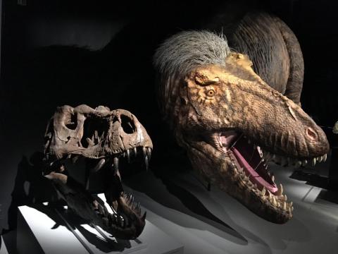 T. rex was also a cannibal.